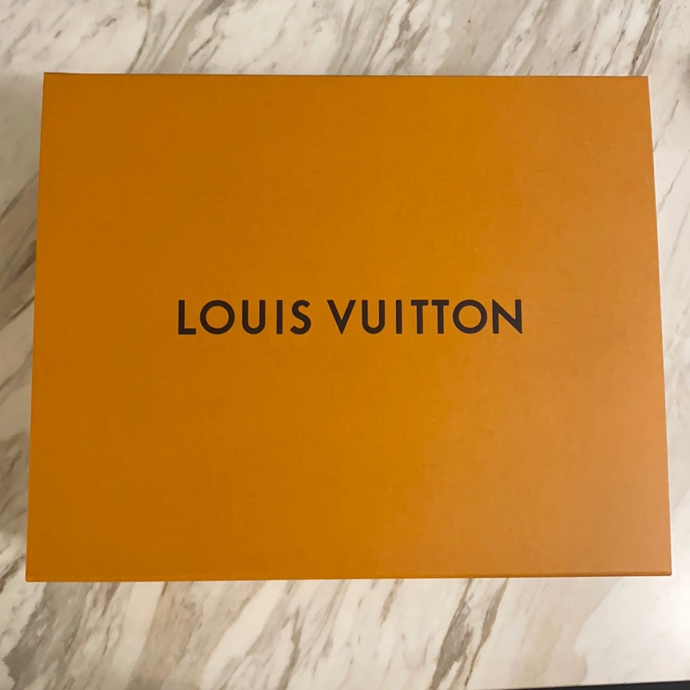Louis Vuitton Large Box 📦